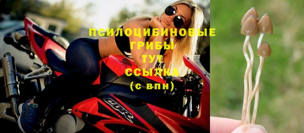 гидра Армянск