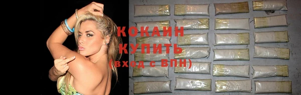 крисы Арсеньев