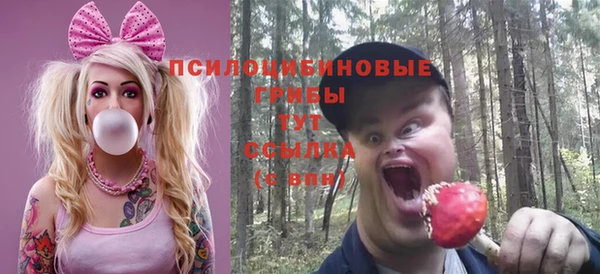 гидра Армянск