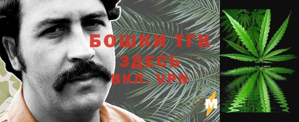 гидра Армянск